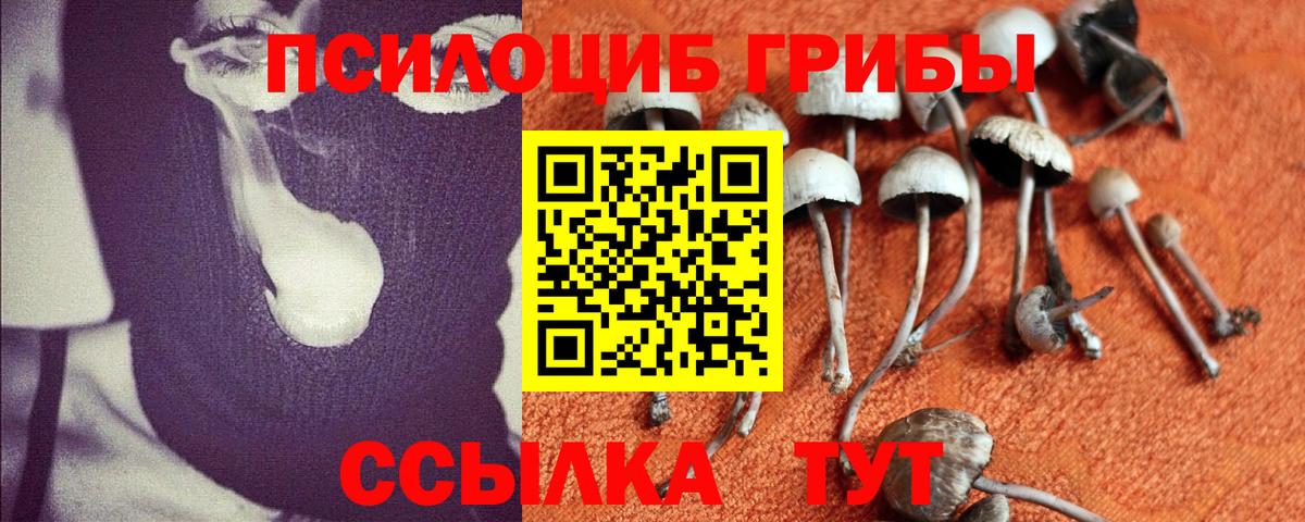 Псилоцибиновые грибы мухоморы Оренбург