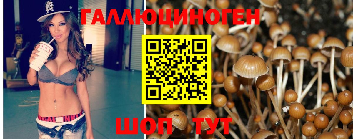 Галлюциногенные грибы Magic Shrooms  Вход с VPN  Оренбург  Псилоцибиновые грибы мухоморы 